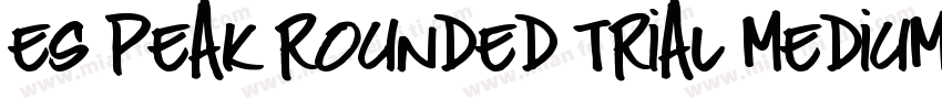 ES Peak Rounded TRIAL Medium字体转换
